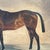 Paint Late 19th Century English Thoroughbred Painting For Sale - Image 7 of 11