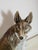 Ceramic Guido Cacciapuoti, Fox, 1950s, Ceramic For Sale - Image 7 of 16