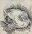 Small Vintage Baby Bird Charcoal Drawing For Sale - Image 4 of 4
