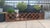 Mid 20th Century Four Panels Teak Folding Screen Room Divider For Sale In Boston - Image 6 of 8