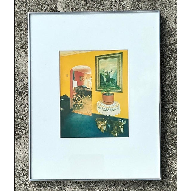 Vintage 1982 Vintage Original Stephen Myers C-Print “Monarch of the Hills” For Sale - Image 10 of 12