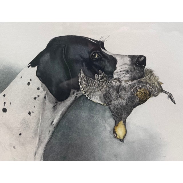 Mid 20th Century Framed Colored Etching of English Pointer Dog With Partridge, by Boris Riab, C 1940s For Sale - Image 5 of 9