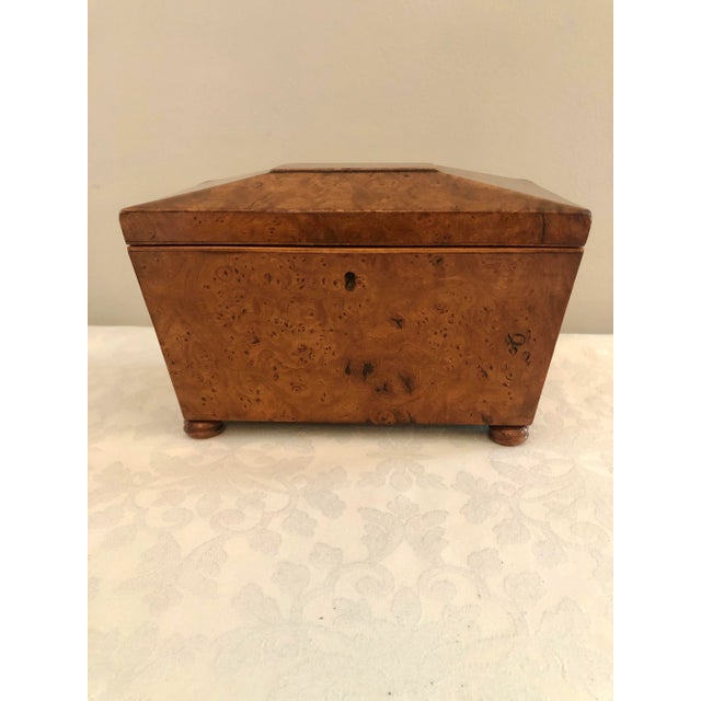Antique Regency burr elm tea caddy having a sarcophagus shaped lip which lifts to reveal two lidded compartments with...