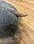 Antique Primitive Thai Ram Sculpture For Sale - Image 10 of 18