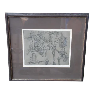 2009 Dean Pingrey Brown Bones Human Anatomy Skeleton Etching