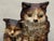 Folk Art Double Cat Hubley Door Stop For Sale - Image 3 of 6