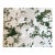 8 Yds Bob Collins Carnival of Roses Cotton Chintz For Sale