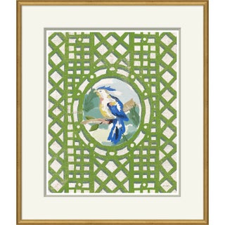 Aviary , Blue Framed Art Print by Dana Gibson For Sale