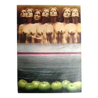 1970's Vintage Sam Haskins Print For Sale