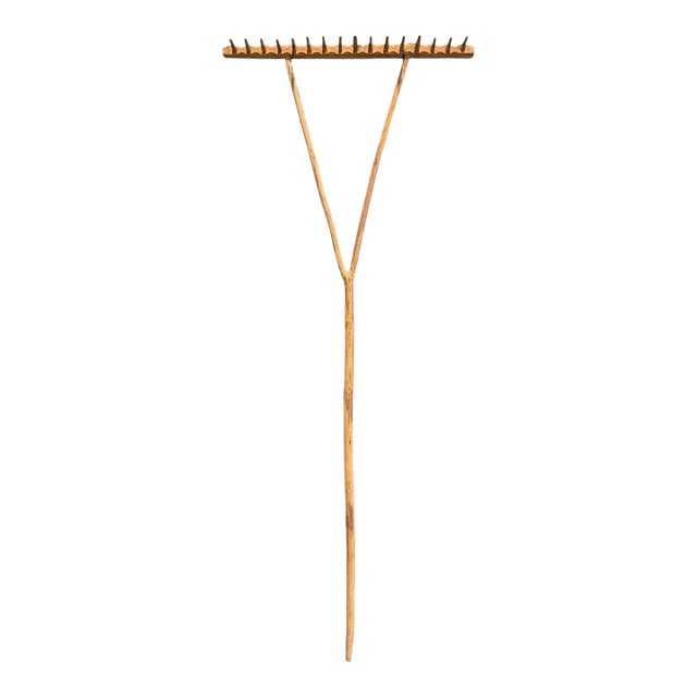 19th Century Espalier Rake on Custom Wall Mount For Sale