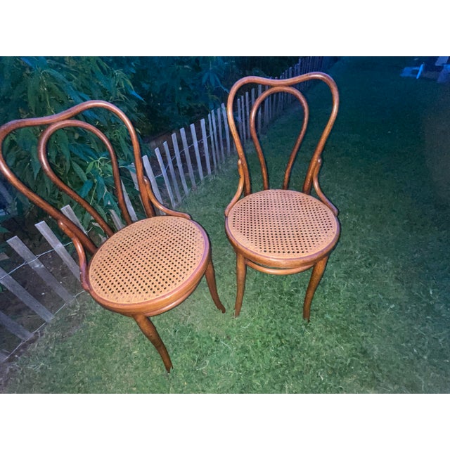 Antique Thonet #16 Matched Pair of Parlor Chairs For Sale - Image 9 of 10