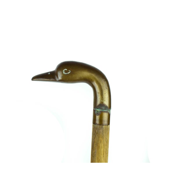 Mid 20th Century Mid 20th Century Solid Brass Duck Head Handle With Wooden Stick Walking Cane For Sale - Image 5 of 6