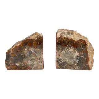 Vintage Petrified Wood Agate Stone Mineral Bookends- a Pair For Sale