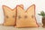 Textile Pair of Ojas Zardozi Pillows For Sale - Image 7 of 7