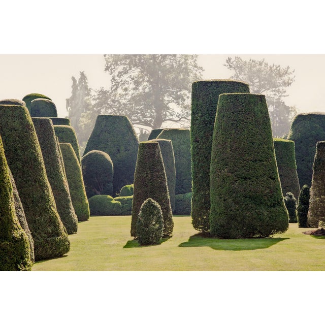 Guy Sargent, Le Jardin IV, Photograph For Sale - Image 6 of 6