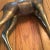 70’s Brass Giraffe Large 32.5" For Sale - Image 10 of 12