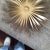 Metal Gold Tone Metal Flower Mirror For Sale - Image 7 of 10