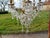 19th Century Crystal Chandelier, 1920s For Sale - Image 6 of 16