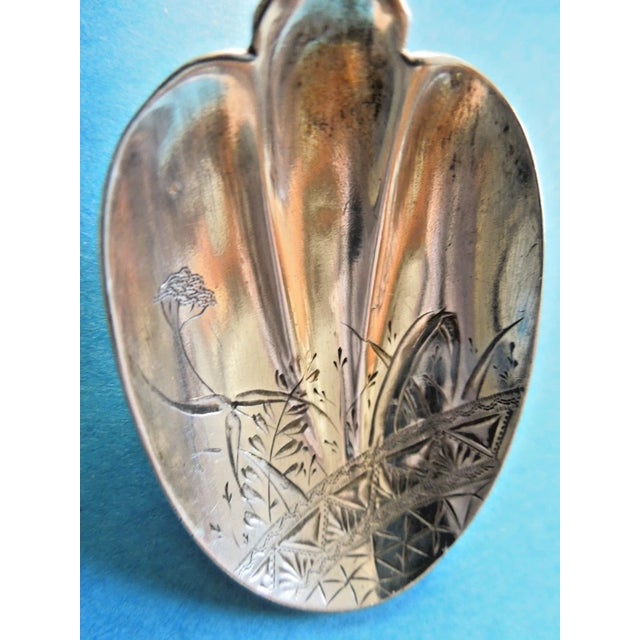 Art Nouveau 1900 Pair of William Wilson Sterling Silver 5 3/4" Brite-Cut Mustard Ladle & Relish Spoon For Sale - Image 3 of 8