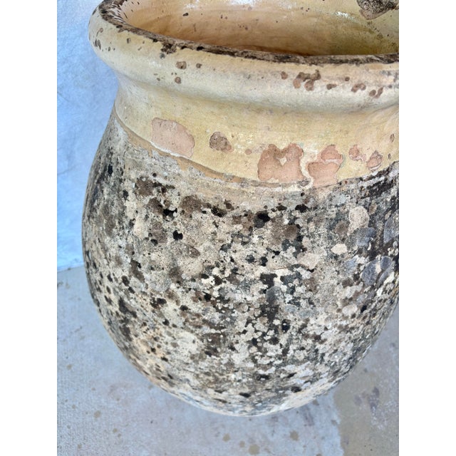 19th Century French Biot Pot Olive Jar For Sale - Image 11 of 12