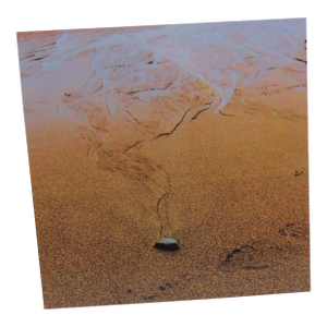 Mounted Metal Frame Photograph "Beach Whisper"