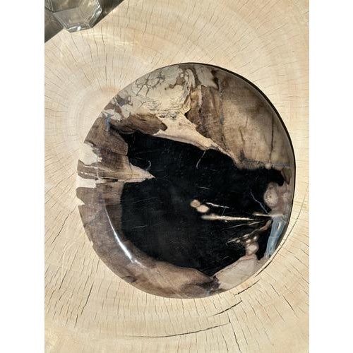 Large Vide-Poche or Dish in Petrified Wood For Sale - Image 3 of 18
