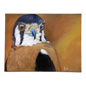 "American Kestrel" Contemporary Original Oil Painting on Canvas