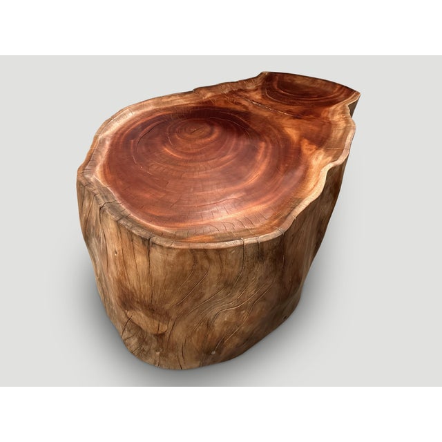 Andrianna Shamaris Mahogany Wood Tray Style Coffee Table For Sale - Image 12 of 18