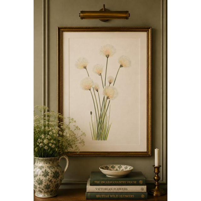 Illustration Hare's-Tail Cottongrass, Vintage Botanical Art Print by Mary Vaux Walcott, 20" X 30" For Sale - Image 3 of 10