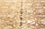 Textile Ornamental Transitional Rug of Classic Inspiration by Doris Leslie Blau For Sale - Image 7 of 9