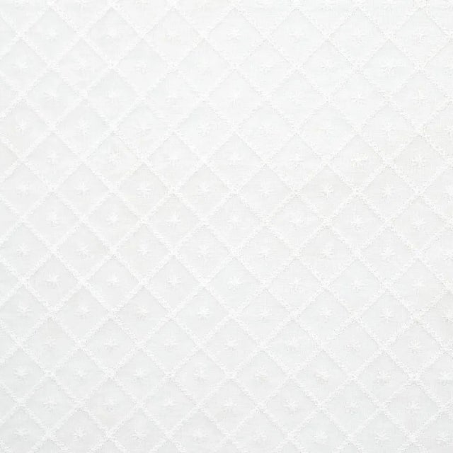 Rustic Sample - Schumacher Isabella Sheer Embroidery Fabric in Ivory For Sale - Image 3 of 3