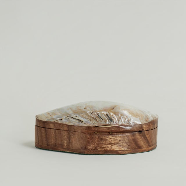 1960s Vintage Seashell Box For Sale - Image 5 of 11