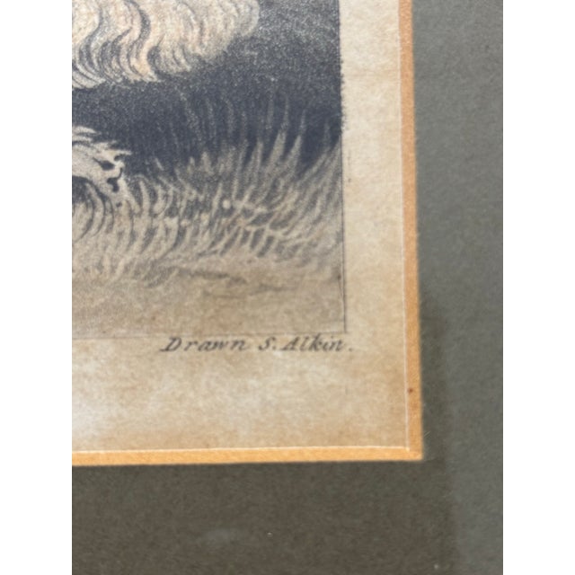 19th Century Framed Print "Grouse Shooting" by S. Alkin For Sale - Image 5 of 5