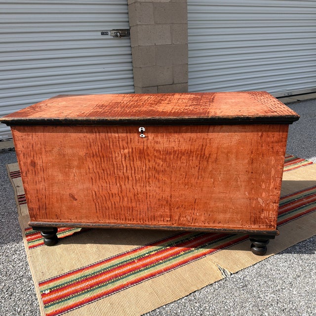 Antique Manheim, Lancaster County, Pennsylvania Paint Decorated Blanket Chest, Circa 1860’s For Sale - Image 12 of 12