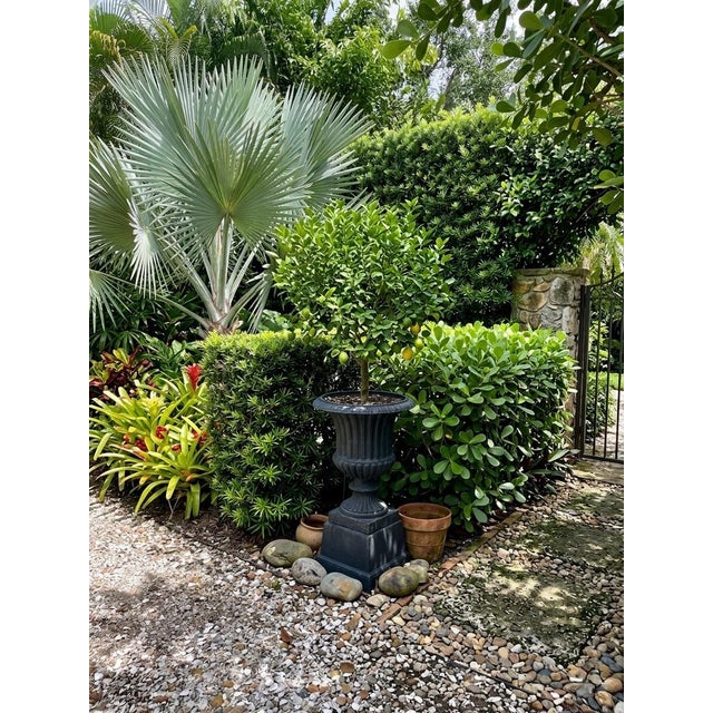 Black 1970s French Neoclassical Style Fluted Cast Iron Garden Urn on Plinth Pedestal For Sale - Image 8 of 10