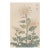 Spider Chrysanthemum Trio by Hasegawa, Vintage Japanese Botanical Art Print, 16" X 24" For Sale