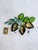 Czechoslovakia Mid‑Century Czech Ab Rhinestone Brooch Czecho/Slovakia, Uranium Glass For Sale - Image 4 of 5