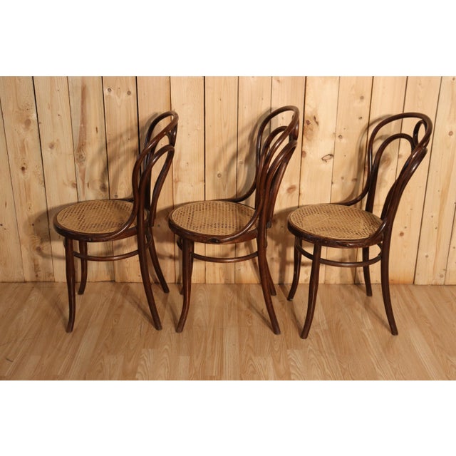 Antique Angel Wing Model Bistro Chairs by Hofmann, 1900, Set of 6 For Sale - Image 4 of 9