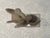 Alabaster 20th-Century Modernist Carved Banded Onyx Avian Sculpture, Dated 1993 For Sale - Image 8 of 10