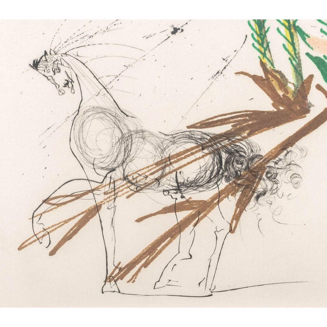 Paper Salvador Dali "Iris (Eyes)" Etching, 1972 For Sale - Image 7 of 13