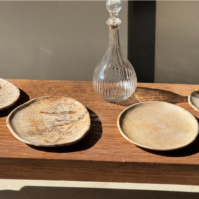 Small Oval Trinket Dish or Tray in Plain Beige Petrified Wood For Sale - Image 13 of 18