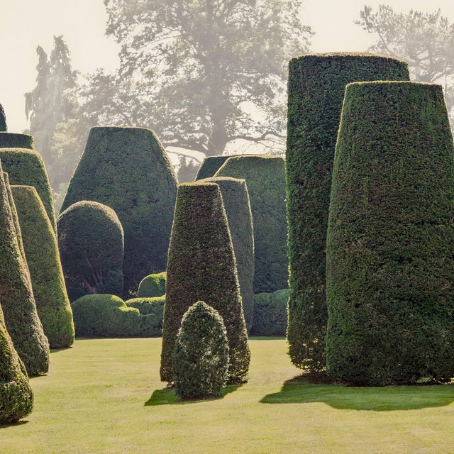 Not Yet Made - Made To Order Guy Sargent, The Garden 4, Archival Pigment Print For Sale - Image 5 of 6