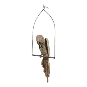 Small Macaw on a Swing by Mario Lopez Torres