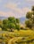 1980s David Chapple -Poppy Fields in a Gorgeous California Oak Landscape-Oil Painting For Sale - Image 5 of 8