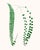 British Fern Contemporary Reproduction Print Collection, Set of 12 For Sale - Image 4 of 9