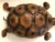 Large Leather Covered Turtle Sculpture For Sale In Miami - Image 6 of 11
