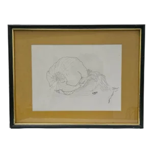 Framed and Matted Still Life Pencil Drawing of a Clove of Garlic, Signed "Evans"