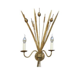 Spanish Gilt Tole Reed and Seed Head Wall Sconce, 1960 For Sale