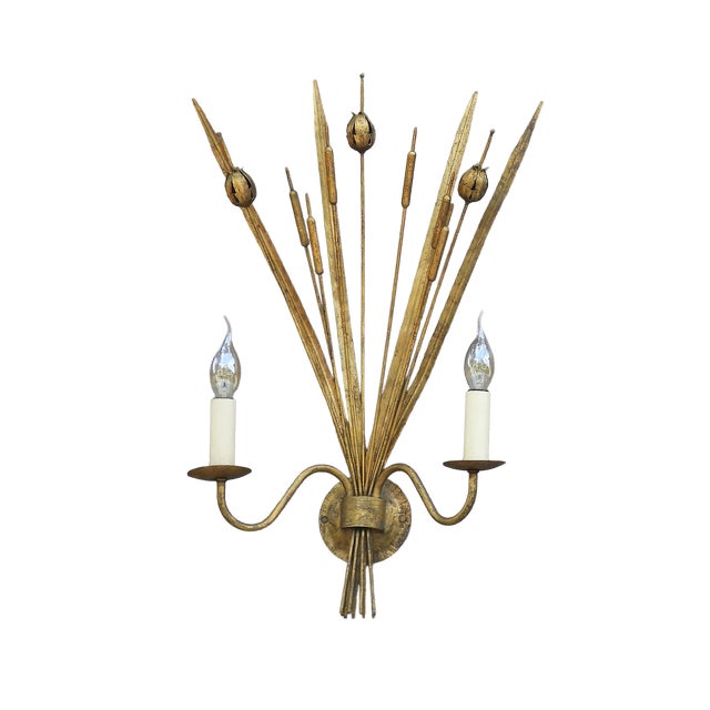 Spanish Gilt Tole Reed and Seed Head Wall Sconce, 1960 For Sale