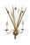 Spanish Gilt Tole Reed and Seed Head Wall Sconce, 1960 For Sale